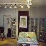 museo della linea dei goti