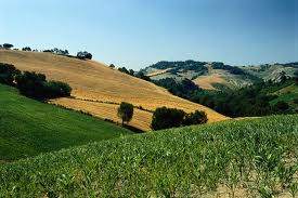 valconca paesaggio