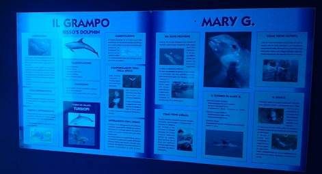 mary g pannelli informativi oltremare 08072012 tag