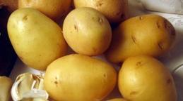 patata