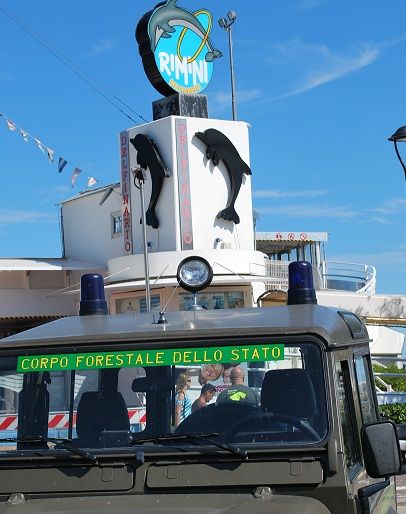 delfinariorimini_jeepforestale
