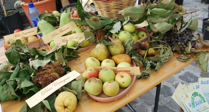 pennabilli_antichifrutti
